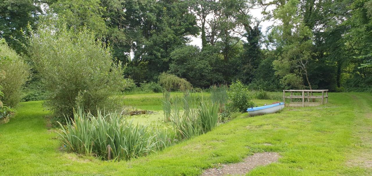 Farmhouse B&B Family Stay Or Romantic Break, On Our Smallholding Close To Narberth Exterior photo