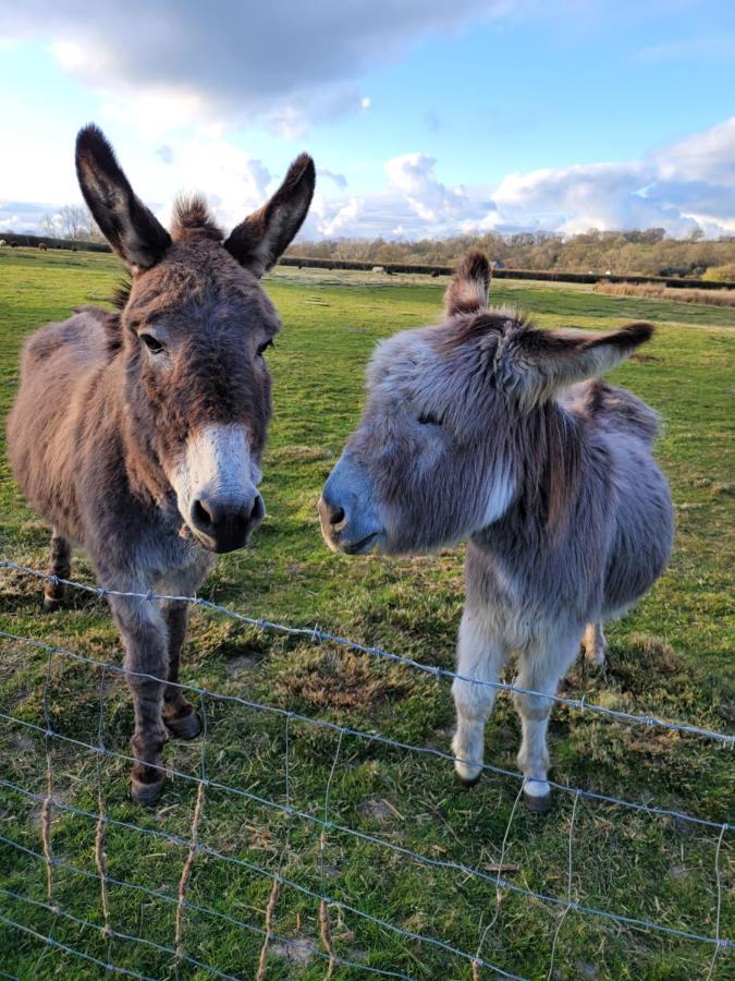 Farmhouse B&B Family Stay Or Romantic Break, On Our Smallholding Close To Narberth Exterior photo